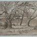 Elizabeth Poole Photo 15