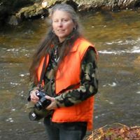 Robin Bennett Photo 13