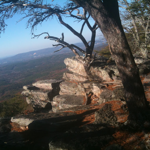 James Reaves Photo 8