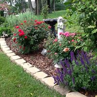 Susan Clemons Photo 9