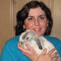 Kimberly Clevenger Photo 14