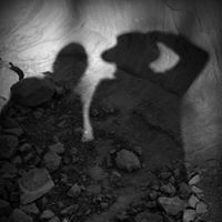 Patrick Wheeler Photo 35
