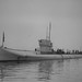 Allan Phillips Photo 14
