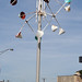 George Rhoads Photo 12