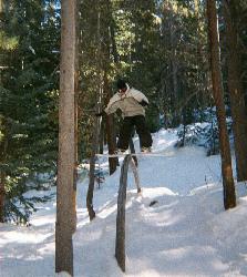 Mike Andrews Photo 19