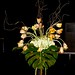 Sharon Parrott Photo 26