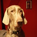Floyd Darby Photo 7