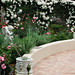 Rose Robinson Photo 11