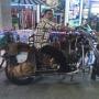 Nelson Reyes Photo 19