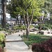 Nan Lin Photo 15