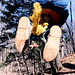 Paul Butts Photo 16