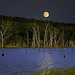 Nancy Moon Photo 37