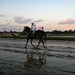 Ron Haskell Photo 9