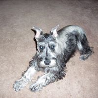 Joyce Buck Photo 15