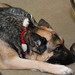 Portia Shepherd Photo 14