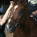 Stephen Payton Photo 31