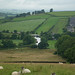 Bradley Low Photo 19