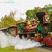 Roy Fair Photo 8