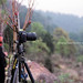 Yueh Wu Photo 8