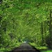 Bonnie Green Photo 10