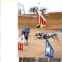 Jane Neely Photo 11