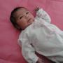 Quoc Tran Photo 24