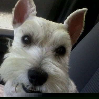 Christine Huntington Photo 9