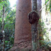 Burl Smith Photo 12