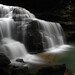 Thomas Mize Photo 7