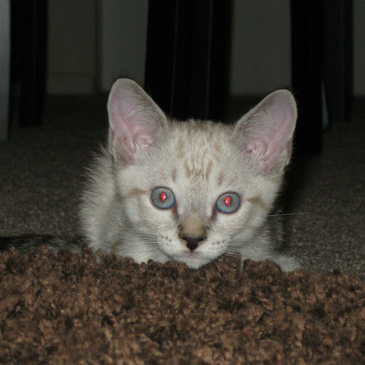 Nathaniel Woods Photo 17