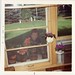 Veronica Walsh Photo 20
