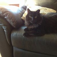 Amy Mims Photo 9