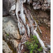 Mitchell Root Photo 15