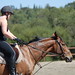 Stacey O'Brien Photo 13