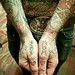 Charlie Harris Photo 16