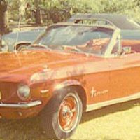 Paul Traylor Photo 4