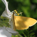 Joseph Huebner Photo 6