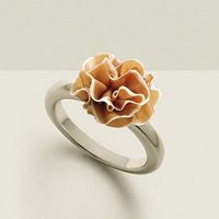 Crystal Yau Photo 8