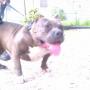 Shawn East Photo 19
