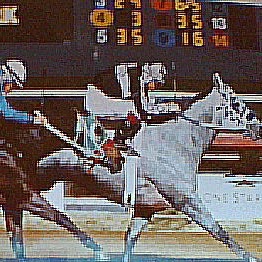 Tony Morris Photo 8