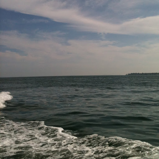 Sean Skelly Photo 21