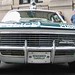 John Haugh Photo 30