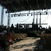 Bruce Stewart Photo 14