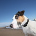 Terrie King Photo 18
