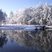 John Swint Photo 13