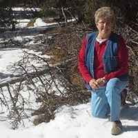 Shirley Noel Photo 20