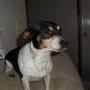 Kimberly Pilgrim Photo 18