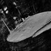 Nick Erickson Photo 14
