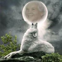 Patricia Bowers Photo 15