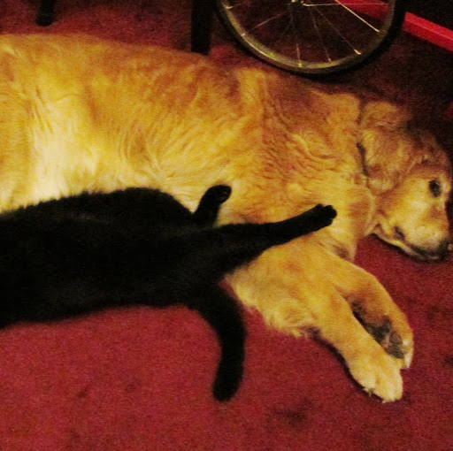 Susan Mead Photo 34
